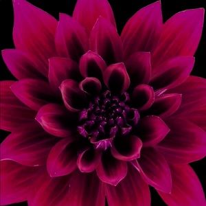 Meet your Posher, Blair